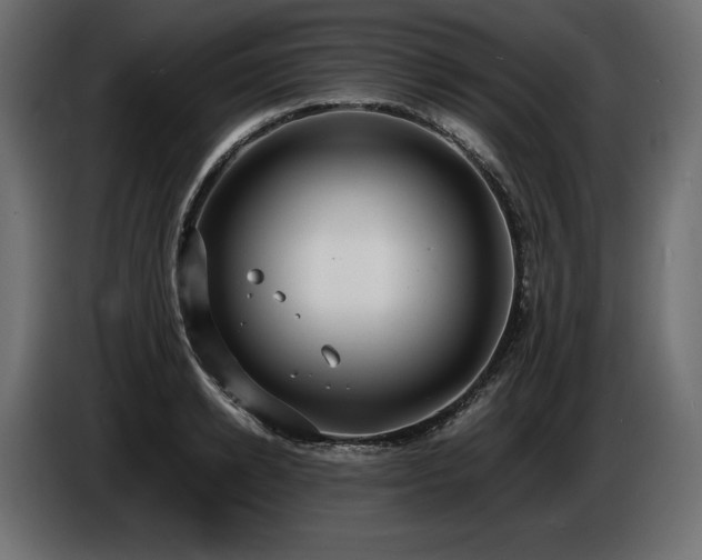 X0000086720942200704131041