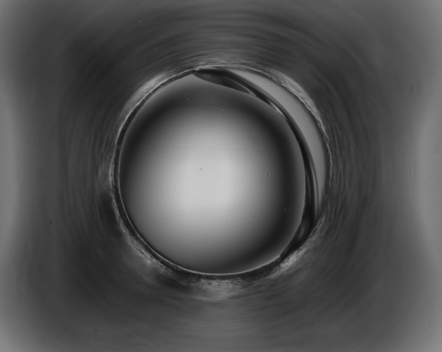 X0000086720946200704131041