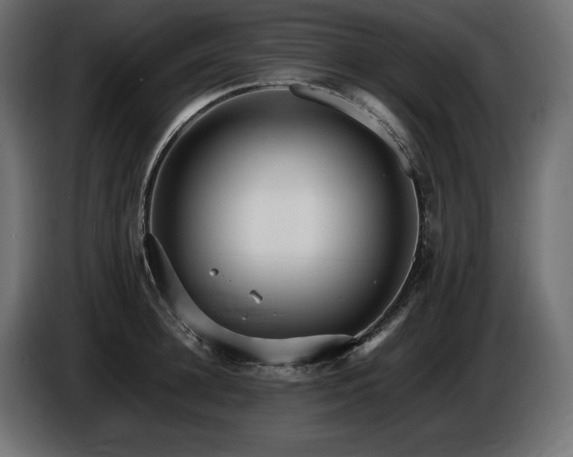 X0000086720948200704131041