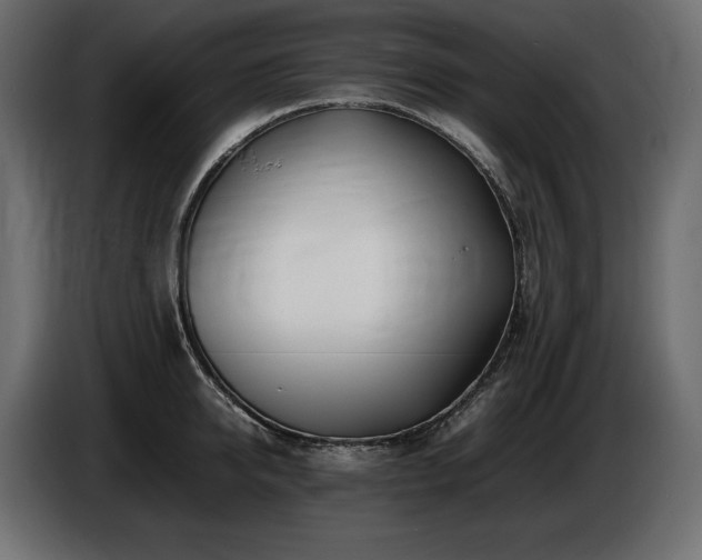X0000086720950200704131041