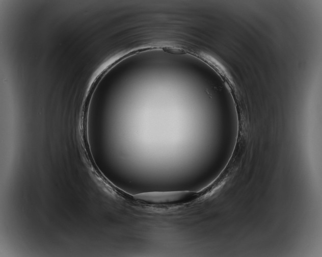 X0000086720952200704131041