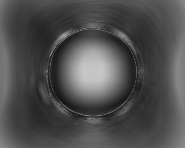 X0000086720954200704131041