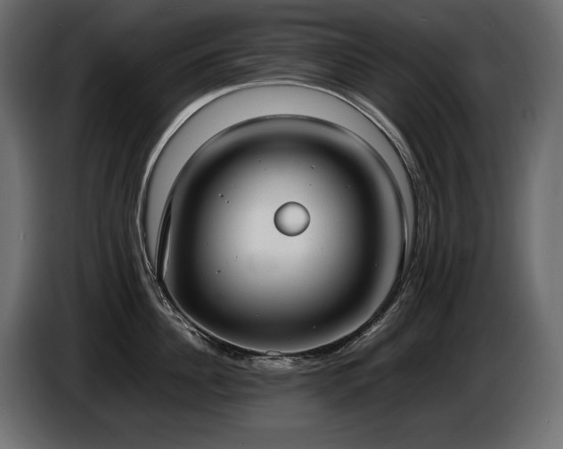 X0000086720956200704131041