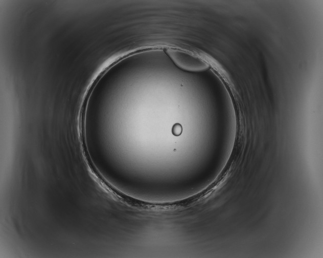 X0000086720958200704131041
