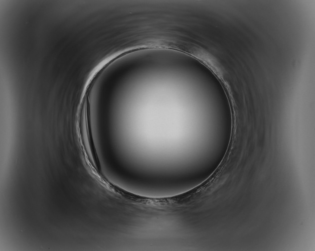X0000086720960200704131041