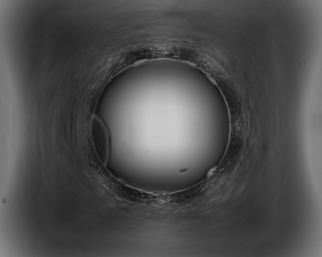 X0000086720961200704131040