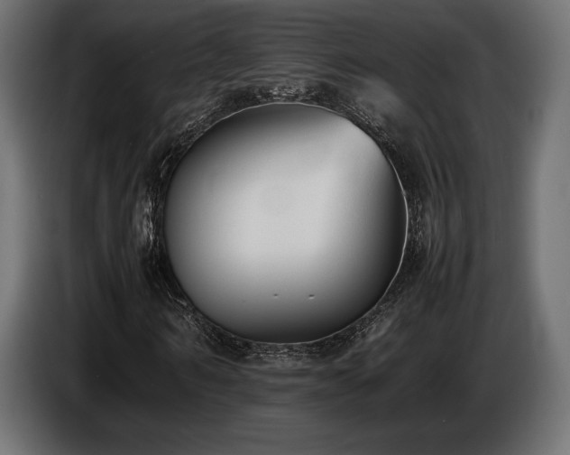 X0000086720962200704131040