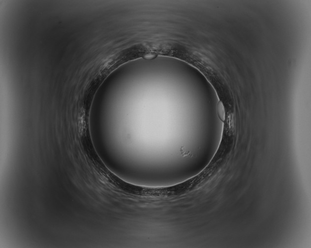 X0000086720963200704131040