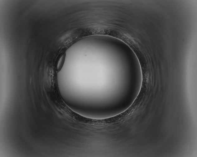 X0000086720964200704131040