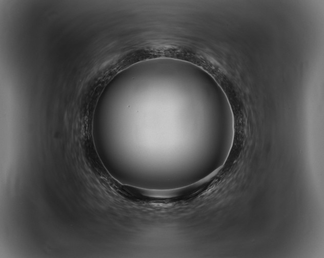 X0000086720965200704131040