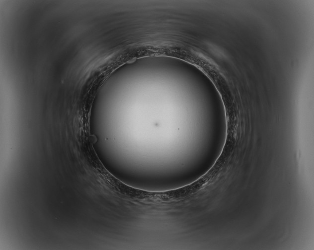 X0000086720966200704131040