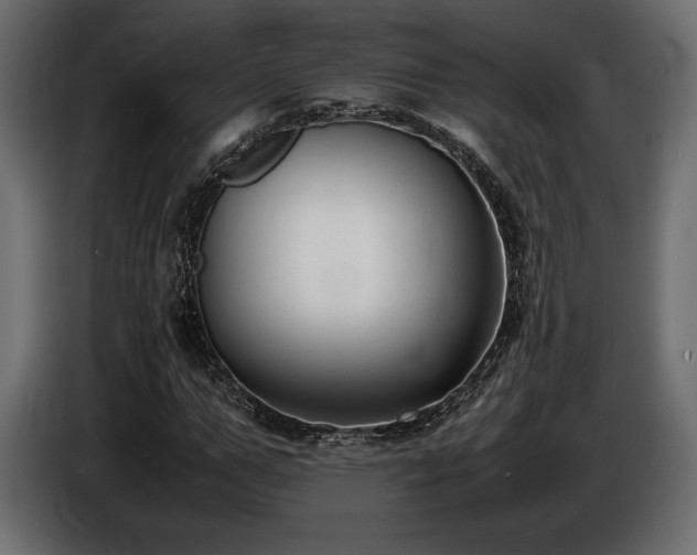 X0000086720967200704131040