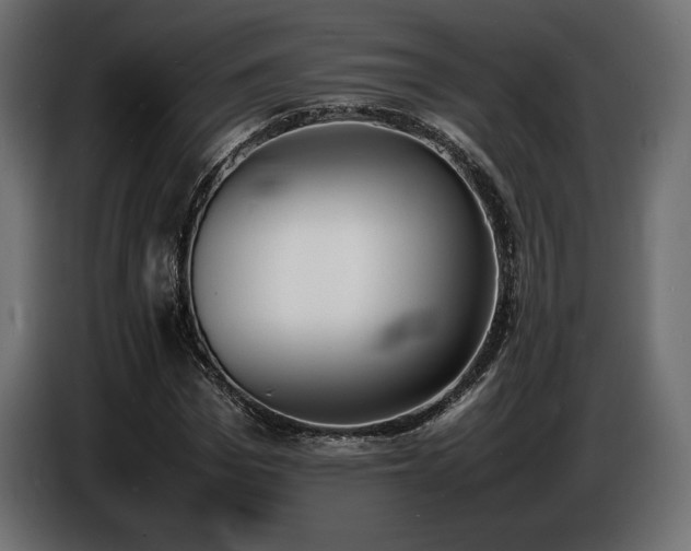 X0000086720969200704131040