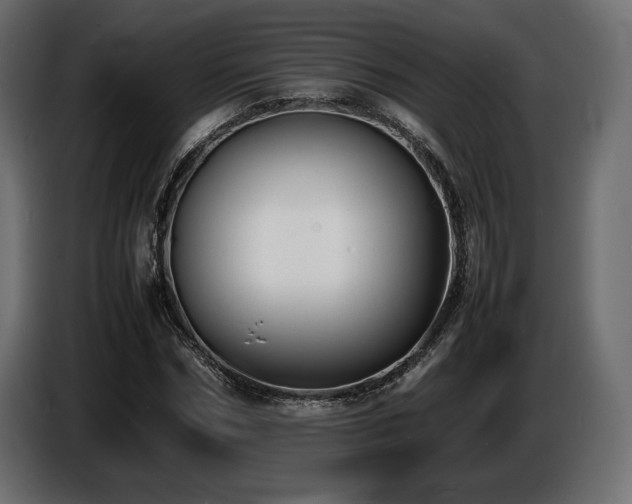 X0000086720970200704131040