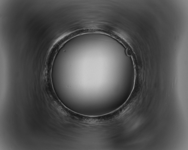 X0000086720971200704131040