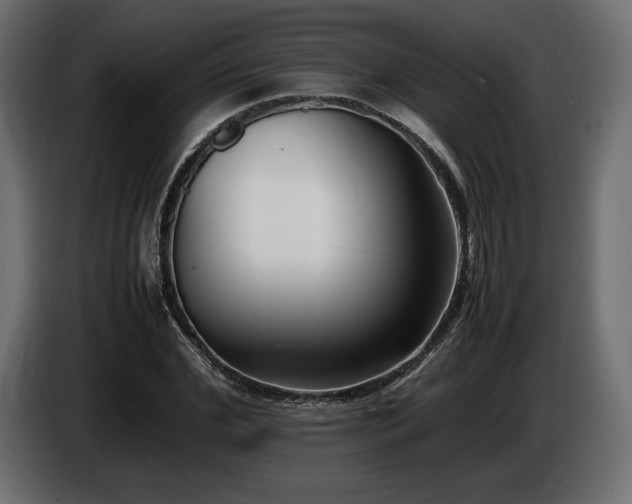 X0000086720972200704131040
