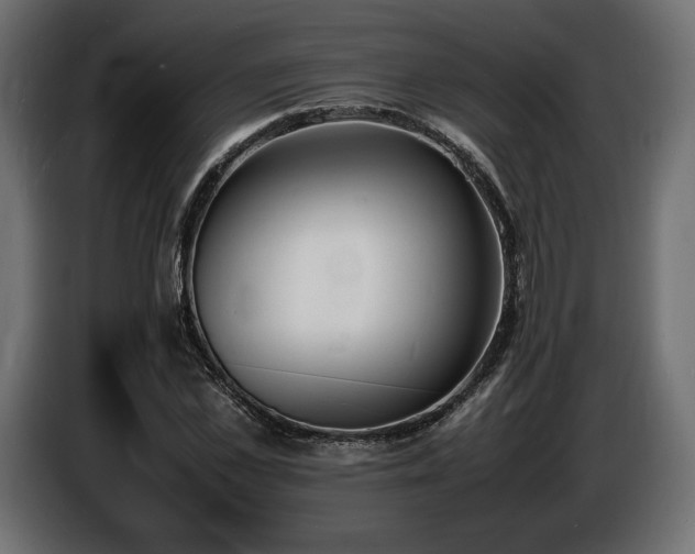 X0000086720973200704131040