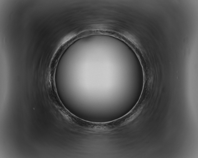 X0000086720974200704131040