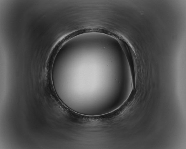 X0000086720975200704131040