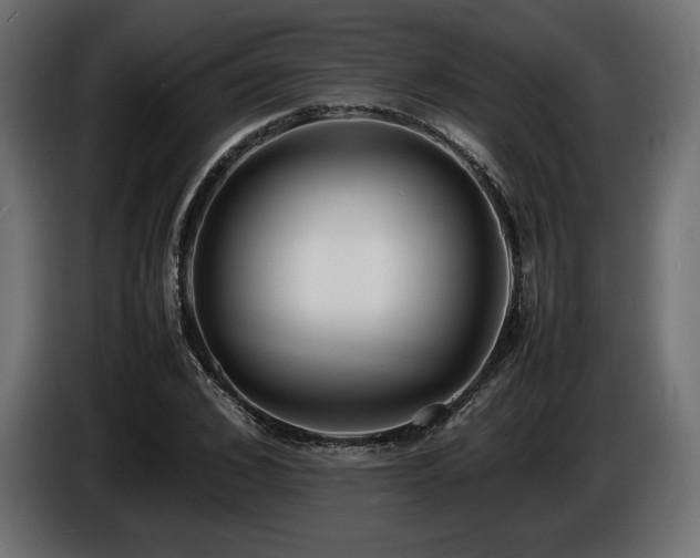 X0000086720976200704131040
