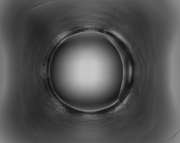 X0000086720977200704131040