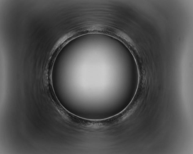 X0000086720978200704131040