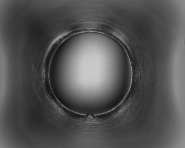 X0000086720979200704131040