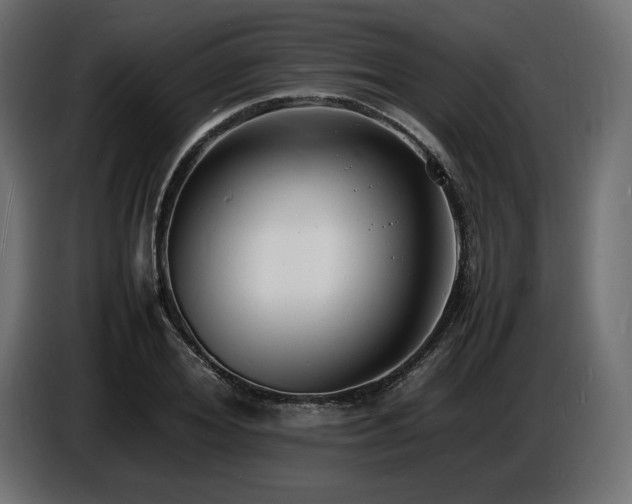X0000086720980200704131040