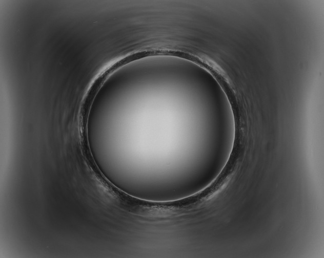 X0000086720981200704131040