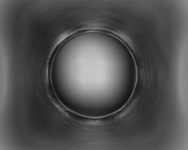 X0000086720982200704131040