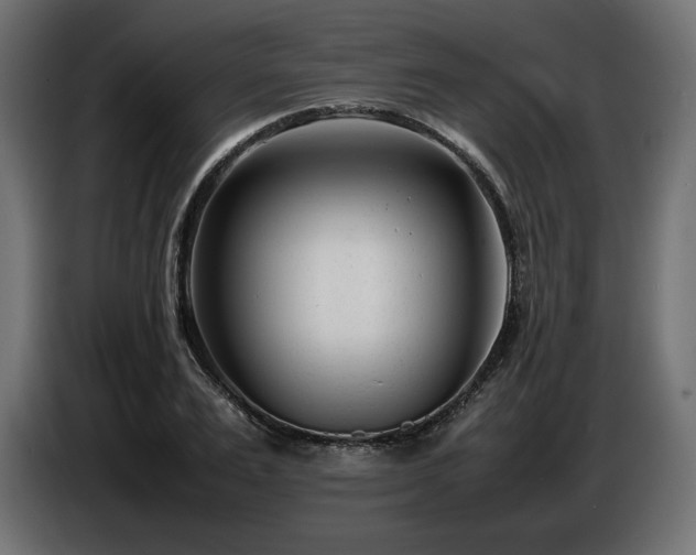 X0000086720983200704131040