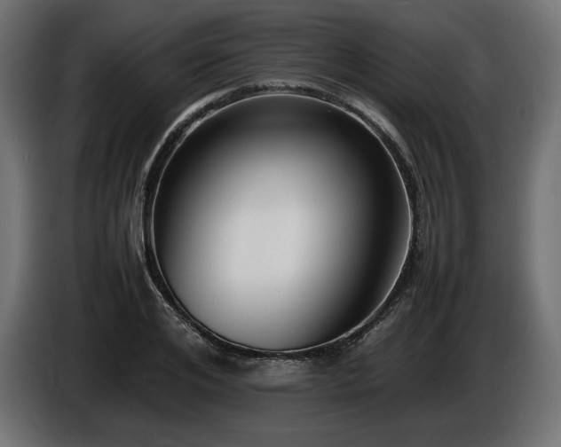 X0000086720984200704131040