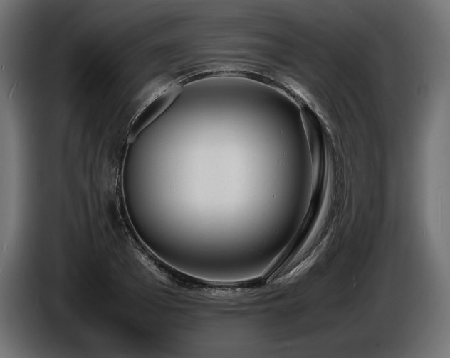 X0000086720985200704131040