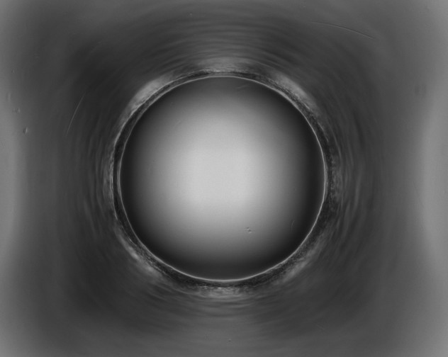 X0000086720986200704131040