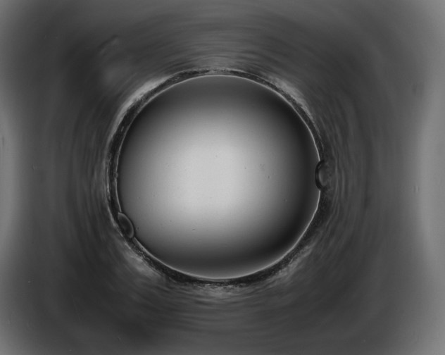 X0000086720987200704131040
