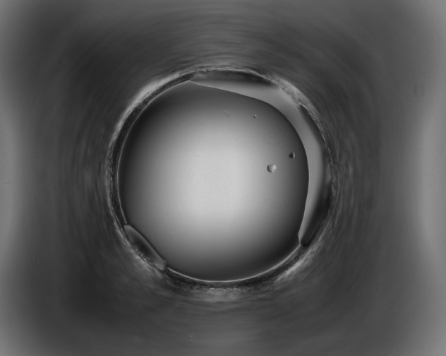 X0000086720989200704131040