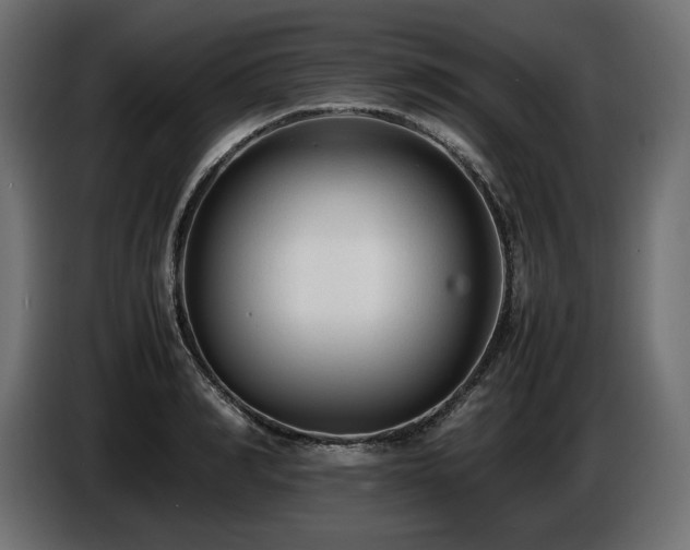 X0000086720990200704131040