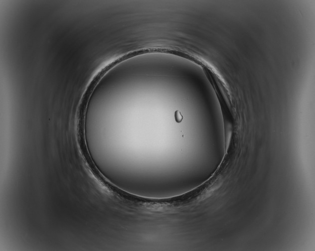X0000086720991200704131040