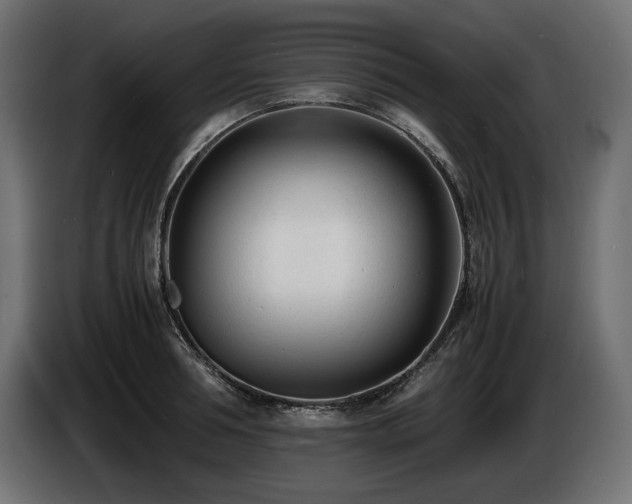 X0000086720994200704131040