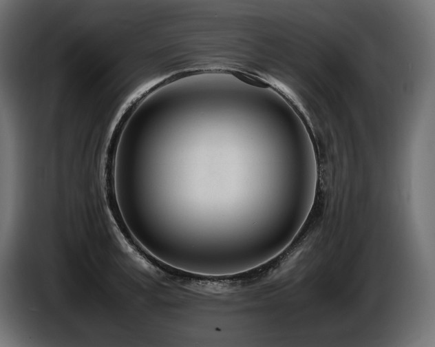 X0000086720995200704131040