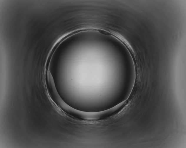 X0000086720996200704131040