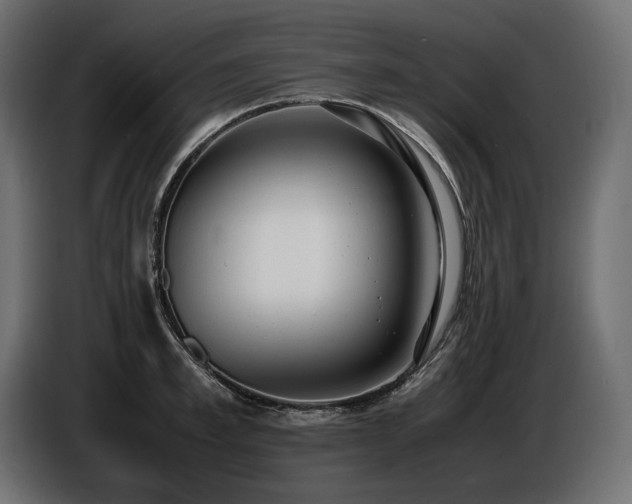 X0000086720997200704131040