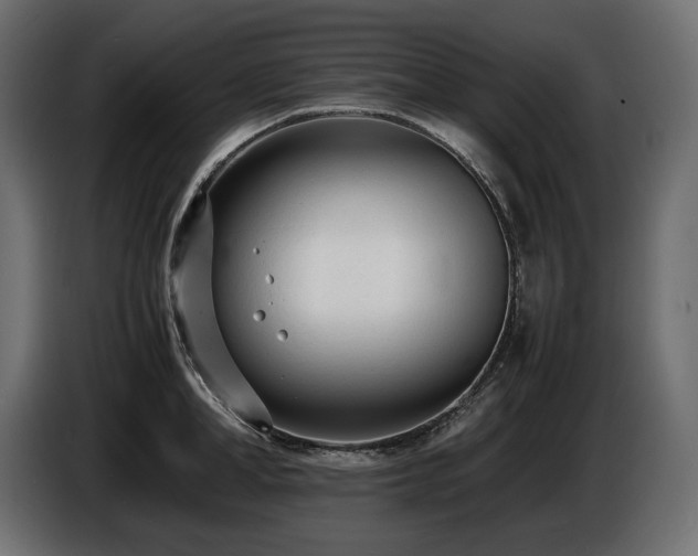 X0000086720998200704131040