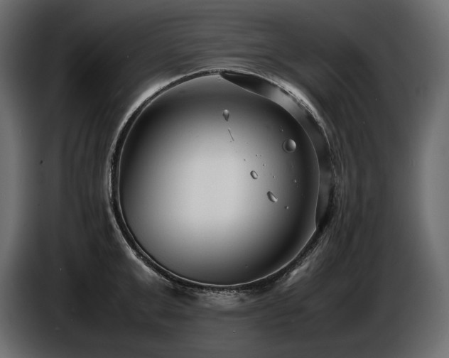 X0000086720999200704131040
