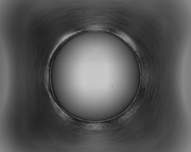 X0000086721000200704131040