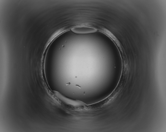 X0000086721002200704131040