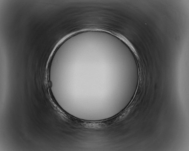 X0000086721004200704131040