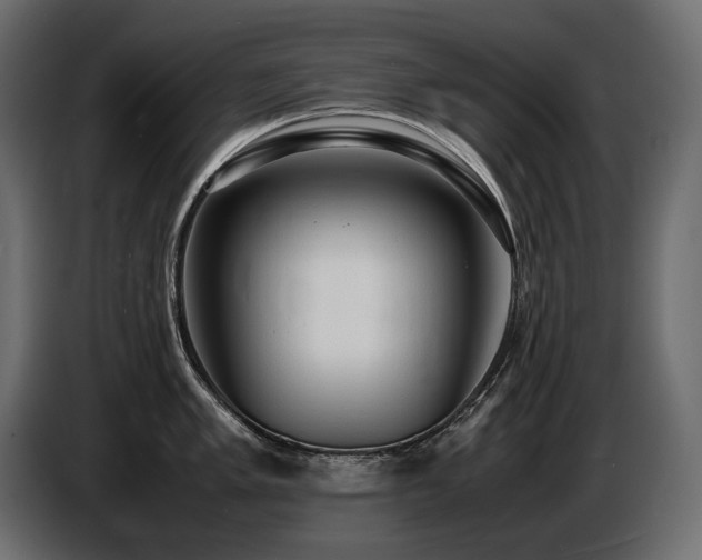 X0000086721005200704131039