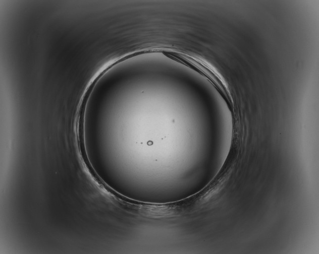X0000086721007200704131039