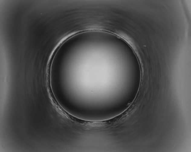 X0000086721008200704131039